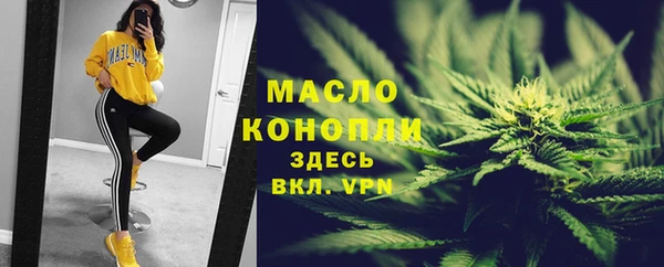 стаф Верея
