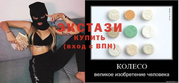 стаф Верея