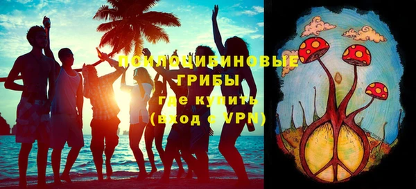 стаф Верея