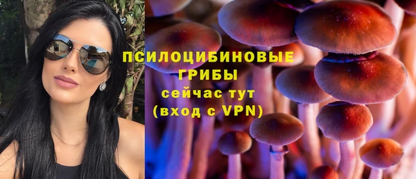 альфа пвп Верхнеуральск