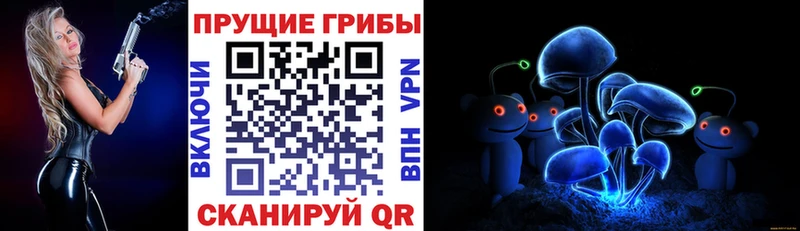 shop как зайти  Жуков  Галлюциногенные грибы Psilocybe  где купить наркоту  mega ССЫЛКА 